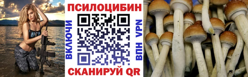 купить наркоту Спасск Псилоцибиновые грибы ЛСД